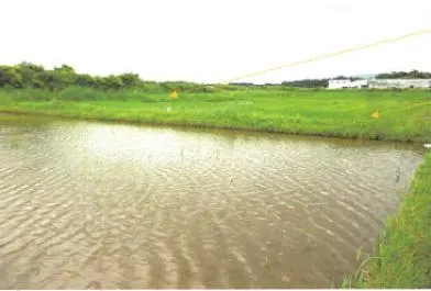 曽於郡大崎町 土地 競売物件の写真