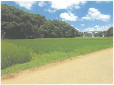 常陸太田市 土地 競売物件の写真