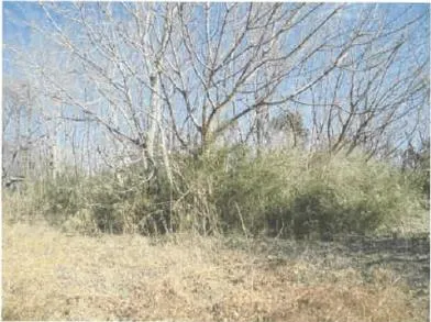 前橋市 土地 競売物件の写真