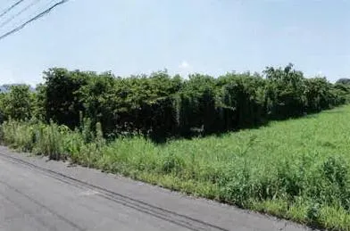豊橋市 土地 競売物件の写真