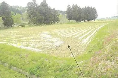 秋田市 土地 競売物件の写真