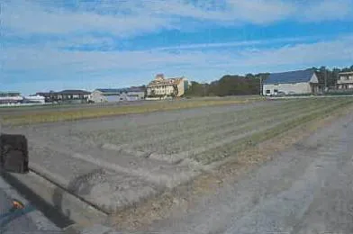 南あわじ市 土地 競売物件の写真
