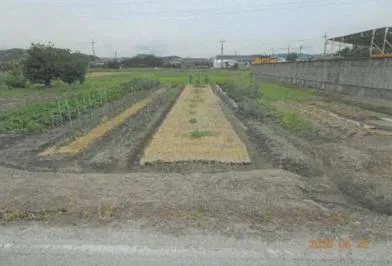 奈良県御所市 土地 競売物件の写真