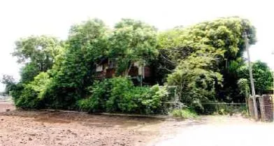 富里市 戸建て 競売物件の写真