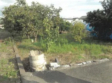 徳島県板野郡上板町 土地 競売物件の写真