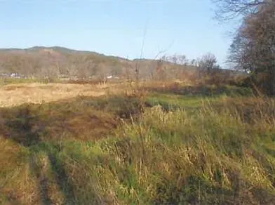 三戸郡五戸町 土地 競売物件の写真