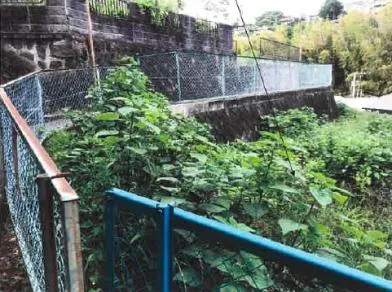 足柄下郡湯河原町 土地 競売物件の写真