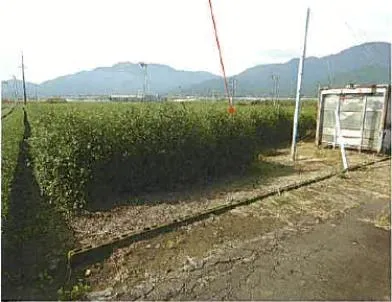 鈴鹿市 土地 競売物件の写真