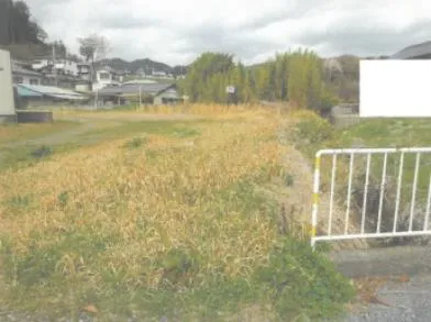 日立市 土地 競売物件の写真