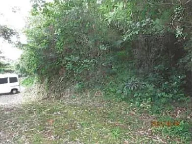伊東市 土地 競売物件の写真