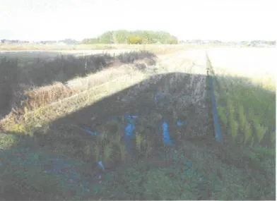 水戸市 土地 競売物件の写真