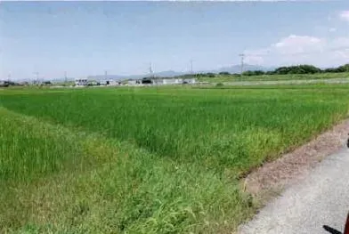 豊橋市 土地 競売物件の写真
