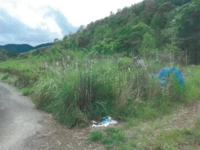 田辺市 土地 競売物件の写真