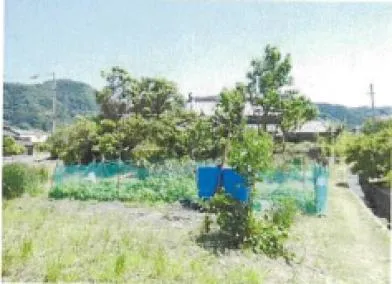 今治市 土地 競売物件の写真