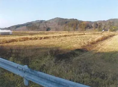 三戸郡五戸町 土地 競売物件の写真