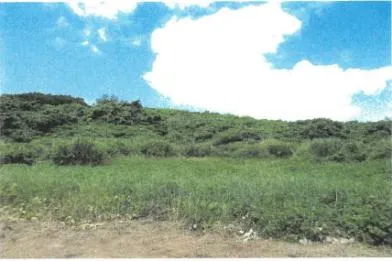 宮古島市 土地 競売物件の写真