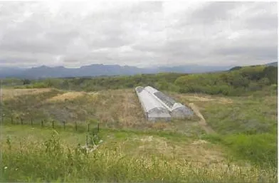 由布市 土地 競売物件の写真