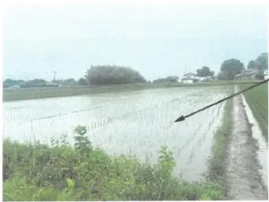 栃木市 土地 競売物件の写真