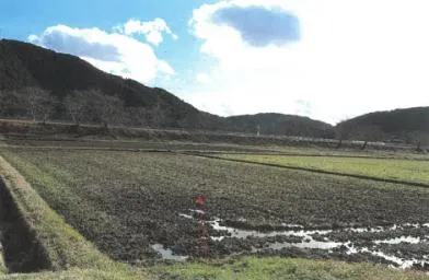 岐阜市 土地 競売物件の写真