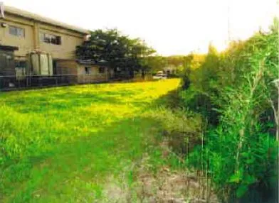 いすみ市 土地 競売物件の写真