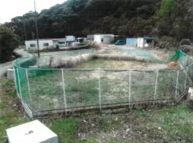 和歌山県日高郡日高川町 戸建て 競売物件の写真