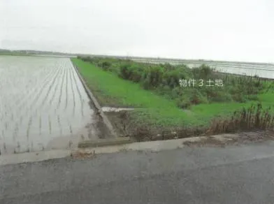 杵島郡白石町 土地 競売物件の写真