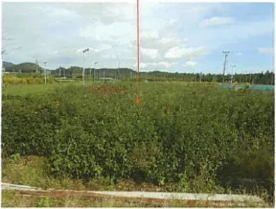 鈴鹿市 土地 競売物件の写真