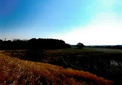 桶川市 土地 競売物件の写真