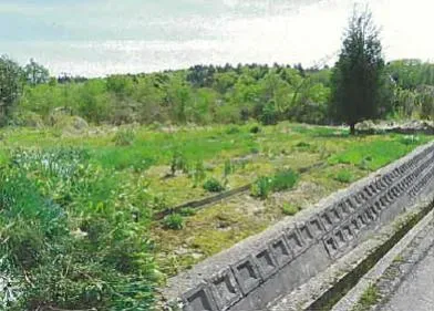 三条市 土地 競売物件の写真