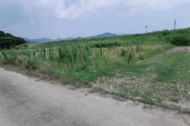 豊橋市 土地 競売物件の写真