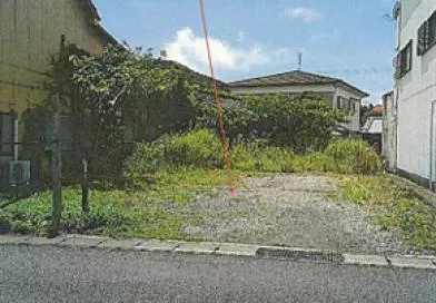 南宇和郡愛南町 土地 競売物件の写真