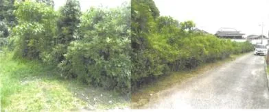 大分県速見郡日出町 土地 競売物件の写真