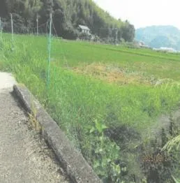 徳島県阿南市 土地 競売物件の写真