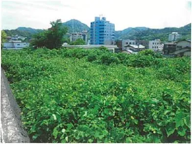 伊豆の国市 土地 競売物件の写真