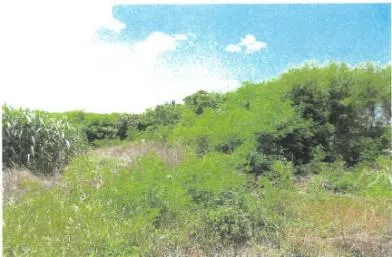 宮古島市 土地 競売物件の写真
