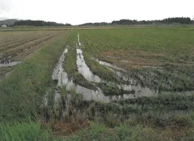 東置賜郡高畠町 土地 競売物件の写真