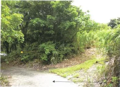大島郡瀬戸内町 土地 競売物件の写真