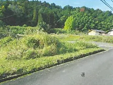 八頭郡八頭町 土地 競売物件の写真