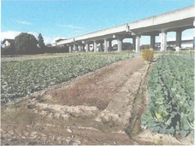 水戸市 土地 競売物件の写真