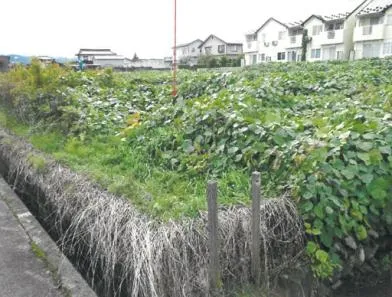 富山市 土地 競売物件の写真
