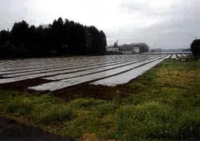 富里市 土地 競売物件の写真