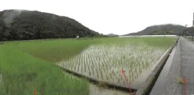 宿毛市 土地 競売物件の写真