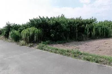豊橋市 土地 競売物件の写真