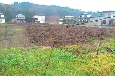 仙北市 土地 競売物件の写真