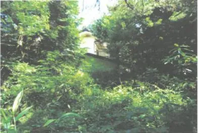 矢板市 土地 競売物件の写真