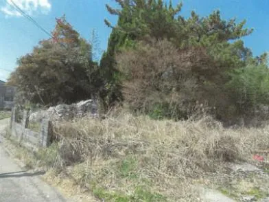 武雄市 土地 競売物件の写真