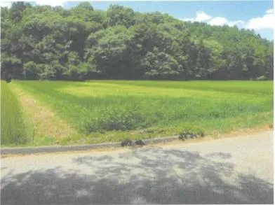 常陸太田市 土地 競売物件の写真