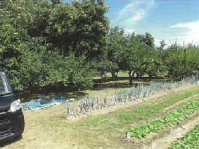 上田市 土地 競売物件の写真